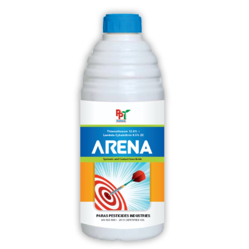 arena